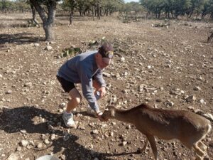 Living Among Deer