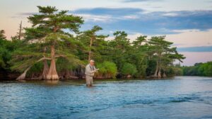 Trout Fishing Tips