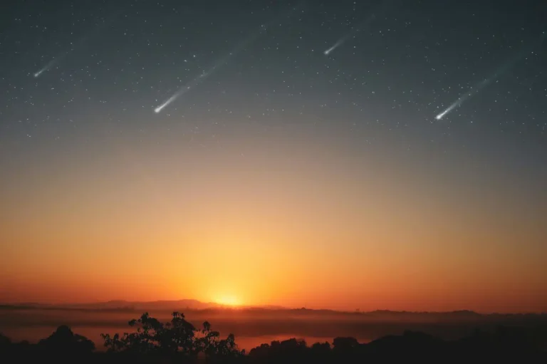 Perseid Meteor Shower