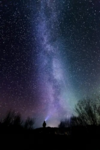 Dark Sky Stargazing