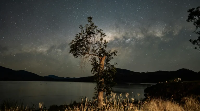 Stargazing Gear for Beginners