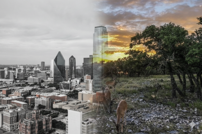 Weekend Getaways from Dallas